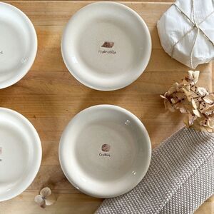 Williams-Sonoma French Cheese Plates Set of 4